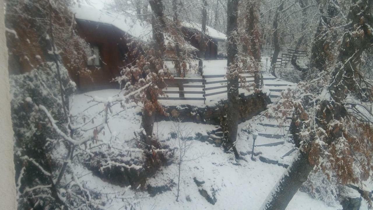 La Albarina Guest House Galende Bagian luar foto